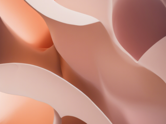 Bid strategy (Budstrategi), AI Illustration