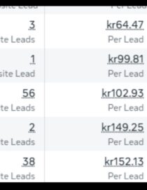 Purple Modern Launching Digital Product Presentation 1