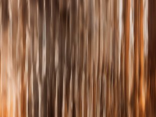 .io domän, AI Illustration